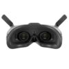 DJI Goggles 2 Motion Combo (DJI RC Motion 2)